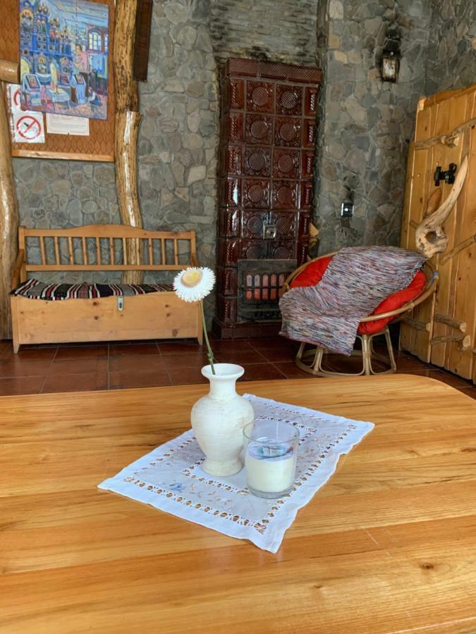 Будинок Художника Synevyrsʼka Polyana Dış mekan fotoğraf